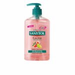 Sanytol Antibacterias Sapone Per Mani Antibatterico Per La Cucina Igiene Efficace In Cucina